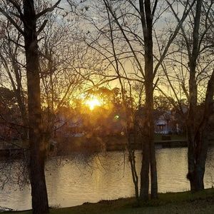 Meet your Posher, Ana